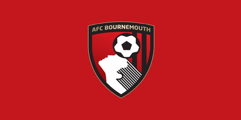 Bournemouth FC: From Underdogs to Premier League Fighters