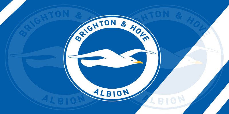 Brighton FC: From Underdogs to Premier League Contenders